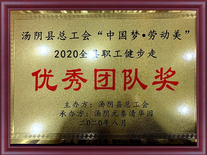 汤阴县总工会2020全县职工健步走优秀团队奖.